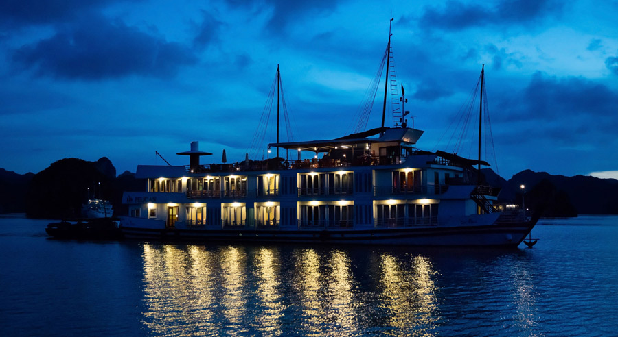 Pelican Cruise