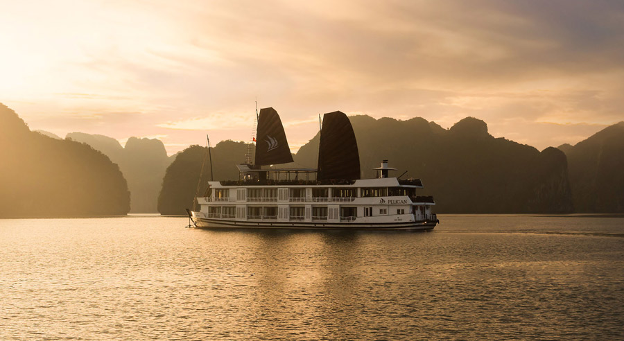 Pelican Cruise