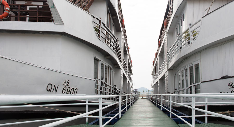 Pelican Cruise