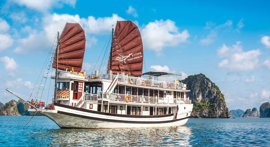 Swan Scruise