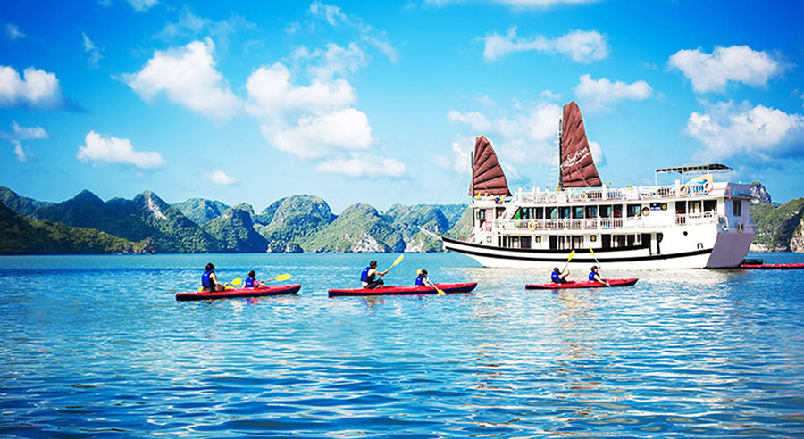 Swan Scruise