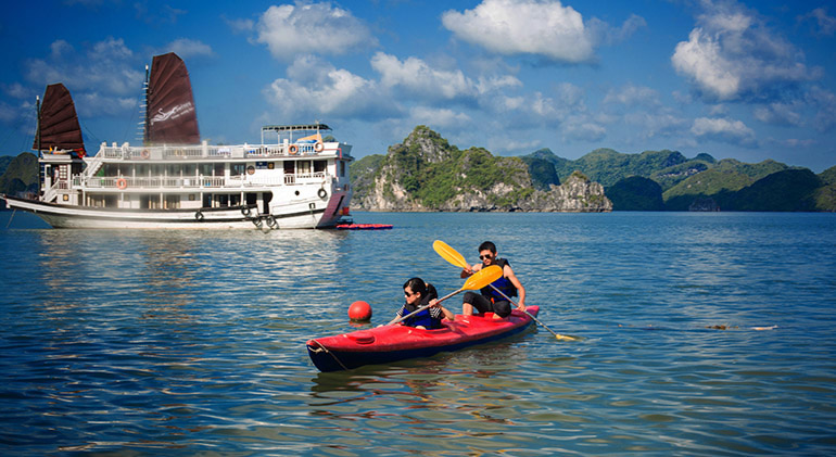 Swan Scruise