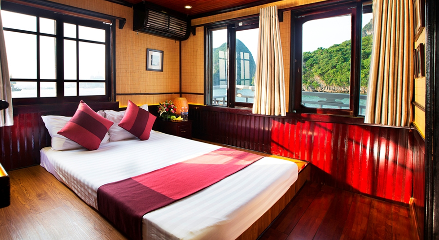 Swan Scruise