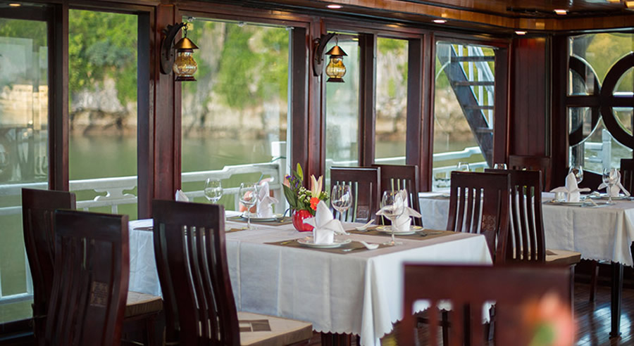 Swan Scruise