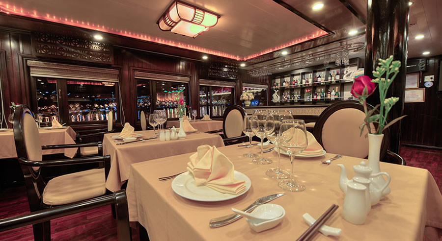 Swan Scruise